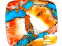 Spiny Oyster
