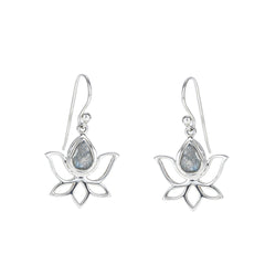 Sterling Silver Labradorite Earrings SSER160