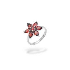 Sterling Silver Garnet Ring SSR153